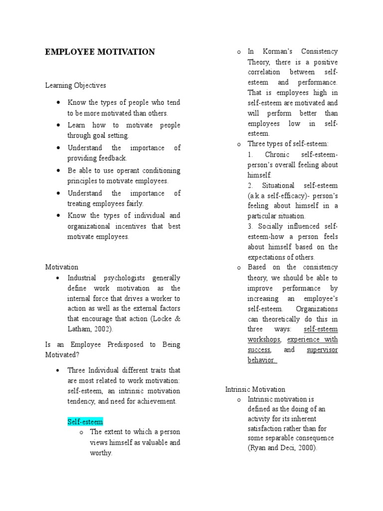Employee Motivation PDF Motivational Motivation