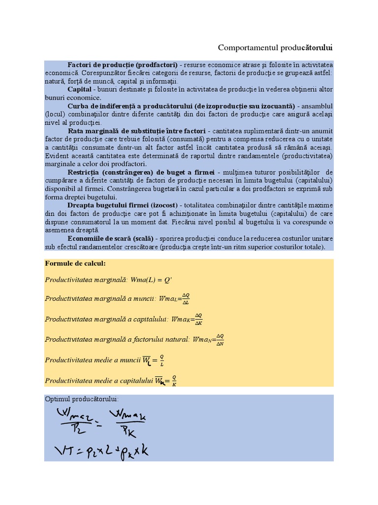 Comportamentul Producatorului | PDF