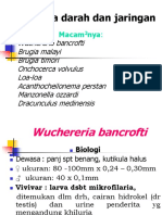 Blood and Tissue Nematodes Biologi