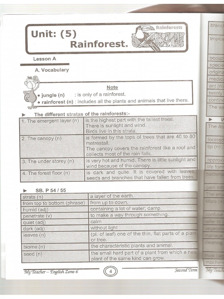 My Teacher English Zone 6 | PDF