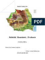 Proiect de Lectie-Relief Evaluare