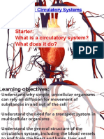 2C1 Circulatory Systems