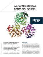 Enzimas Catalizadoras de Reacoes Biologi