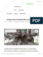 Μνημειακά ελαιόδενδρα της Κρήτης - Βοτανική