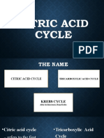 Citric Acid Cycle