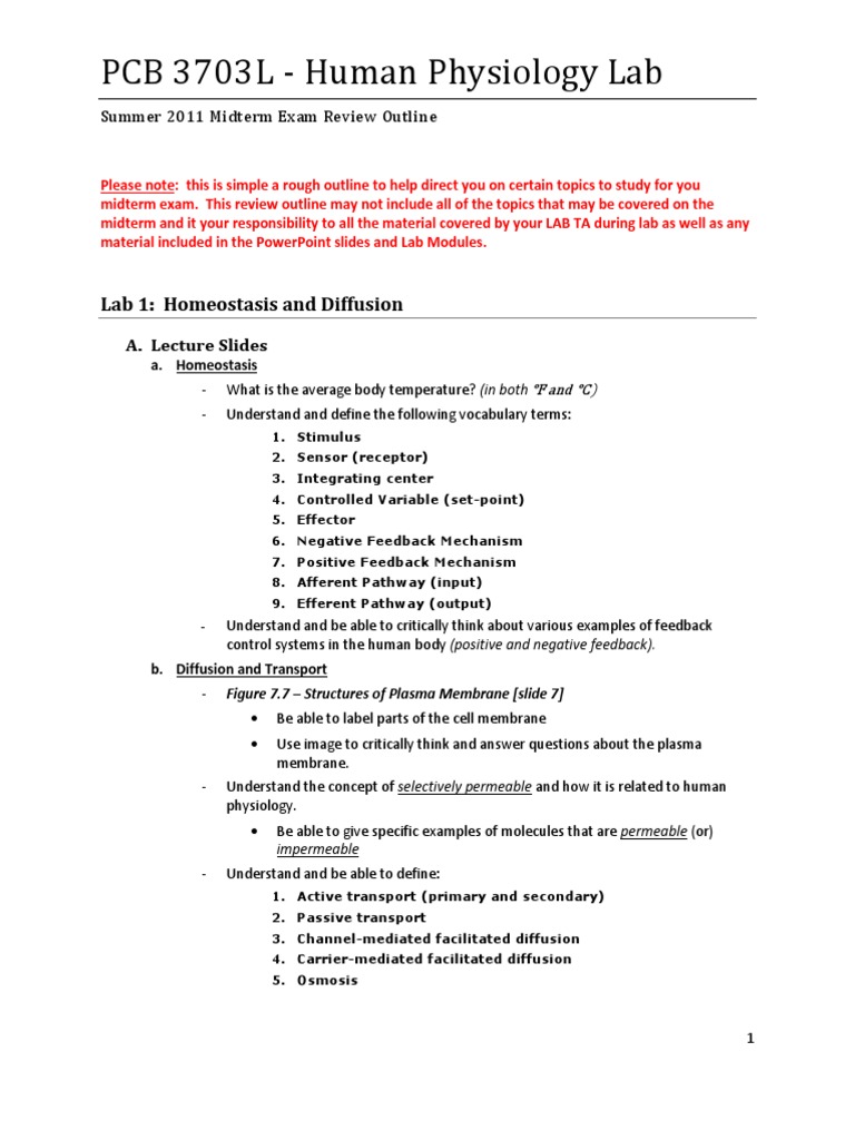 heart essays