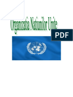 Organizatia Natiunilor Unite - ONU