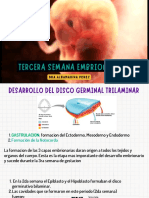 Embriologia Tema 5. Tercera Semana