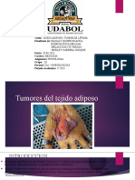 Tunores de Lipoma Grupo 2