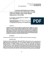 Interactions Between Bacteria - Free Anabaena Macrospora Clone and Bacteria Isolated From Unialgal Culture