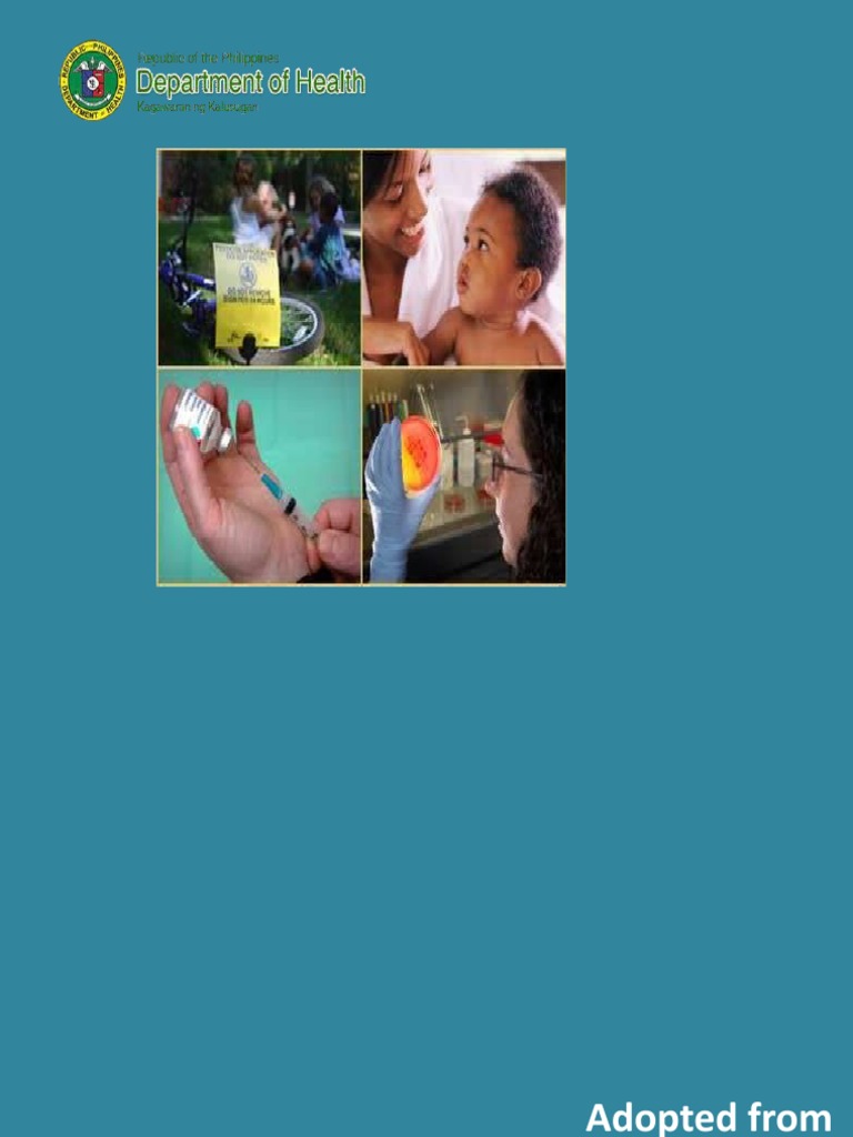 Overview of DOH Community Health Programs | PDF | Health Care ...