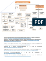 Mapa Conceptual de La Insuficiencia Cardiaca FSP