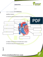 Modulo I - Auxiliar de Veterinaria - Actividad 2