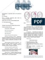 2-Prematuridade e Treinamento Do Desenvolvimento Neuropsicomotor