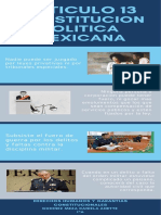 Infografia Articulo 13