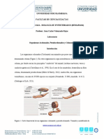 Lab 7. Organismos Celomados y Pseudocelomados - Presencial