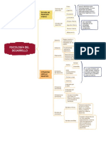 Psicología Del Desarrollo