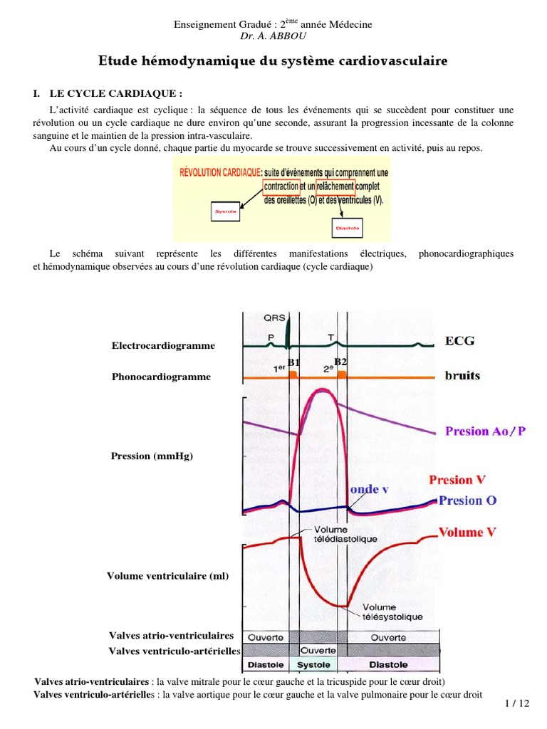Étude du Cycle Cardiaque et Débit Cardiaque | PDF | Cœur | Valve cardiaque