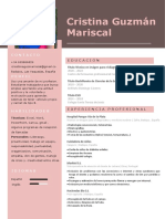 212-curriculum-vitae-diseno-cv-gratis