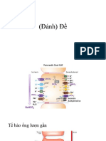 bài tập protein màng