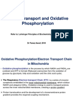 Electron Transport and Oxidative Phosphorylation: Refer To: Lehninger Principles of Biochemistry (Chapter 19)