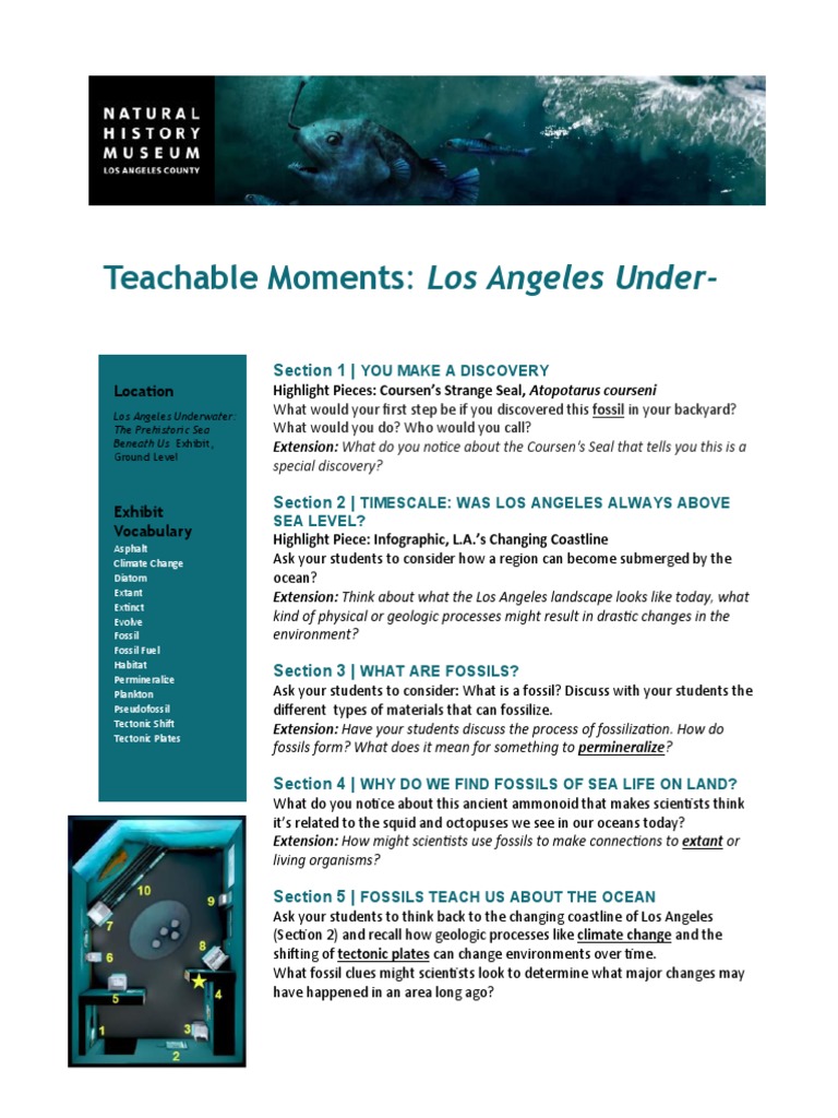 Teachable Moments LAU PDF Fossil Earth Sciences