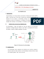 S07 Bacteriófagos