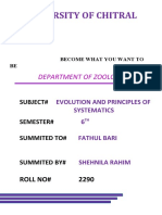 Steady State Theory Shehnila Rahim PDF