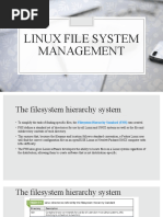 Linux Filesystem Management