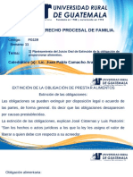 Derecho Procesal de Familia Clase 11