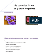 Tabla de Bacterias