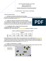 Informe 2 Lab Microbiología 2021 Grupo 4