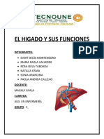 El Higado y Sus Funciones