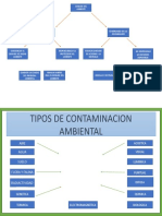 Tipos de Comtaminacion Ambiental