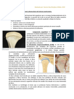 Okeson Resumen PDF