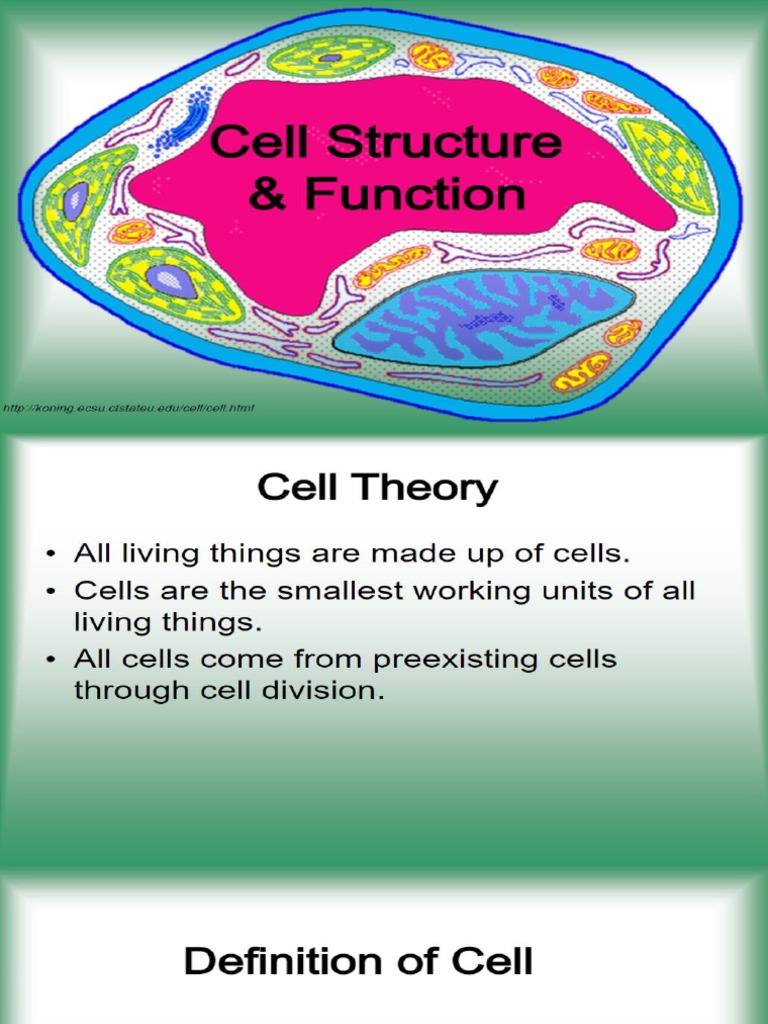 Cell Parts and Function PDF