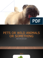 Animals Pet or Wild