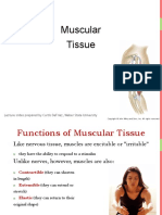 Anatomy Chapter 10 Muscular Sysem (Muscular Tissue)