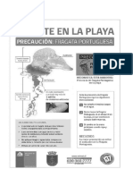 Desafío Infografía