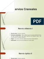 12 Nervios Craneales