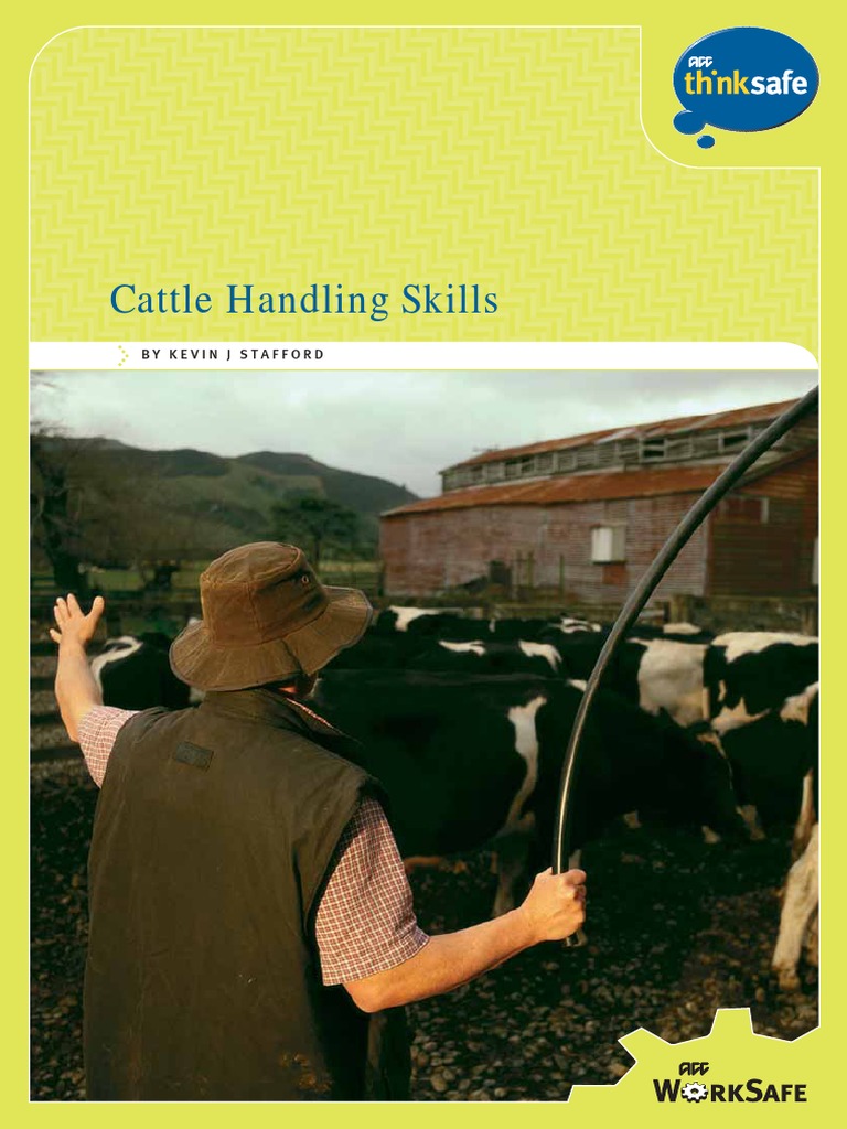 Cattle Handling Skills PDF Cattle Dairy Cattle