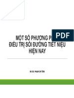 Một Số Phương Pháp Điều Trị Sỏi Niệu