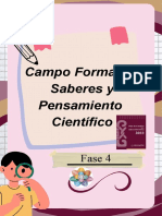 Campo Formativo Fase 4