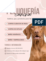 Flyer Anuncio Peluqueria Canina Orgánico Rosa