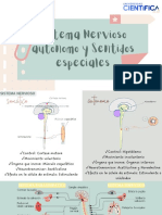 Sistema Nervioso Autonomo. Sentidos Especiales LG