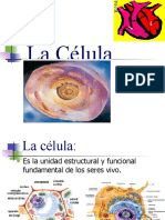 La Célula