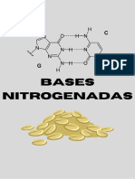 Álbum Macromoléculas Orgánicas - Bases Nitrogenadas