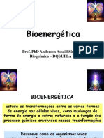 Bioenergetica - Aula Ufla 2018 1