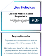 Ciclo de Krebs  e cadeia respiratória Bioquimica