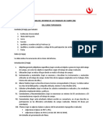 Estructura Del Informe de Practicas de Campo - TB1-TB2-TB3